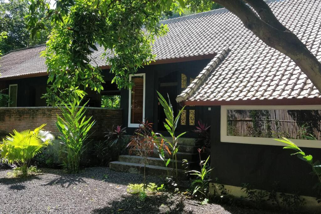 Villa King: Unique Villa With Indoor Swimming Pool Amed Kültér fotó